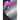 Oldboy Deluxe Edition: Book One