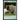 In Mortuary Science and the Funeral Industry