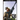 The Axis Forces 10