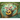 Peta the singing possum: Peta the singing possum