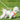 Reflective Dogs Harness with Leash Adjustable Harness Vest Breathable Collars