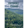 Catskill Chaos