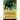 American Black and Tan Coonhound Guide American Black and Tan Coonhound Guide Includes: American Black and Tan Coonhound Training, Diet, Socializing,