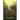 The Township