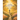 Awaken the Power Within