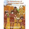 The Adventures of Thomas in Hopi Land