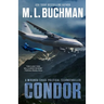 Condor: a political technothriller