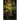 Only-By-Darkness