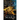 Legacy of Light