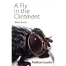 A Fly in the Ointment: Short Stories