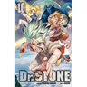 Dr. Stone, Vol. 10: Wings of Humanity