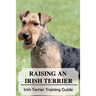 Raising An Irish Terrier: Irish Terrier Training Guide: Best Ways To Exercise Your Irish Terrier?