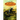 A Land Remembered