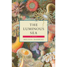 The Luminous Sea