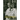 Emperor of Enzymes