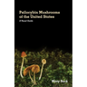 Psilocybin Mushrooms of The United States: A Visual Guide