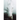 Fugitive