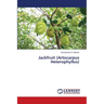 Jackfruit (Artocarpus Heterophyllus)