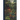 Plant Life and Evolution
