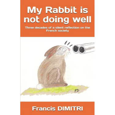 My Rabbit is not doing well: Three decades of a silent reflection on the French society