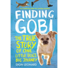Finding Gobi: Young Reader's Edition: The True Story of One Little Dog's Big Journey