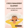 Stress Management Blueprint: Practical Strategies for Resilience and Inner Peace