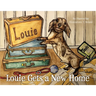 Louie Gets a New Home