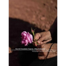 Eco Art Incubator Cyprus: Sites Embodied: Curriculum, Catalogue, Contemplations