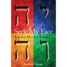 Seek My Face: A Jewish Mystical Theology