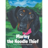 Marley the Noodle Thief