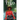 TTEO Take The Emotion Out: YA Urban Fantasy