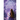 Iris in Violet