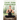 Chair Yoga Essentials: Easy Steps to Health and Flexibility