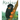 Fourteen Monkeys: A Rain Forest Rhyme
