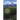 Cry in the Wilderness