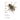 Lord of the Flies Org Chart: Poem Zones and AI Social Satire