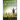 Counsels on Health: (Biblical Principles on health, Medical Ministry, Counsels and Diet and Foods, Bible Hygiene, medical evangelism, Sanctified Life