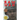 Raw Man