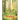 The Everything Trail
