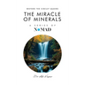 The Miracle of Minerals: Restore the Circuit Makers