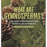 What are Gymnosperms? Life Cycle, Characteristics and Identifying Gymnosperms Grade 6-8 Life Science