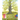 The Magnificent Magical Tree