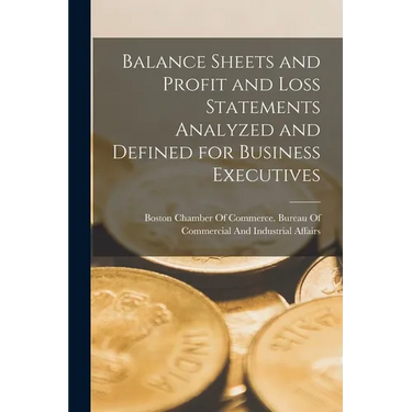 Balance Sheets and Profit and Loss Statements Analyzed and Defined for Business Executives