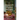 The Museum of Lost Dreams