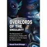 Overlords of the Singularity: The Manipulation of Humankind by Hidden UFO Intelligences and the Quest for Transcendence