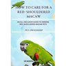How to Care for a Red-Shouldered Macaw: An All-Inclusive Guide to Owning Red-Shouldered Macaw Pets