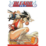 Bleach, Vol. 9: Fourteen Days for Conspiracy