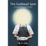 The Godhead Spot: A Neurotheological Thriller