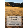 Embedded Amber: Soul- in Search of the Solace