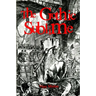 The Gothic Sublime